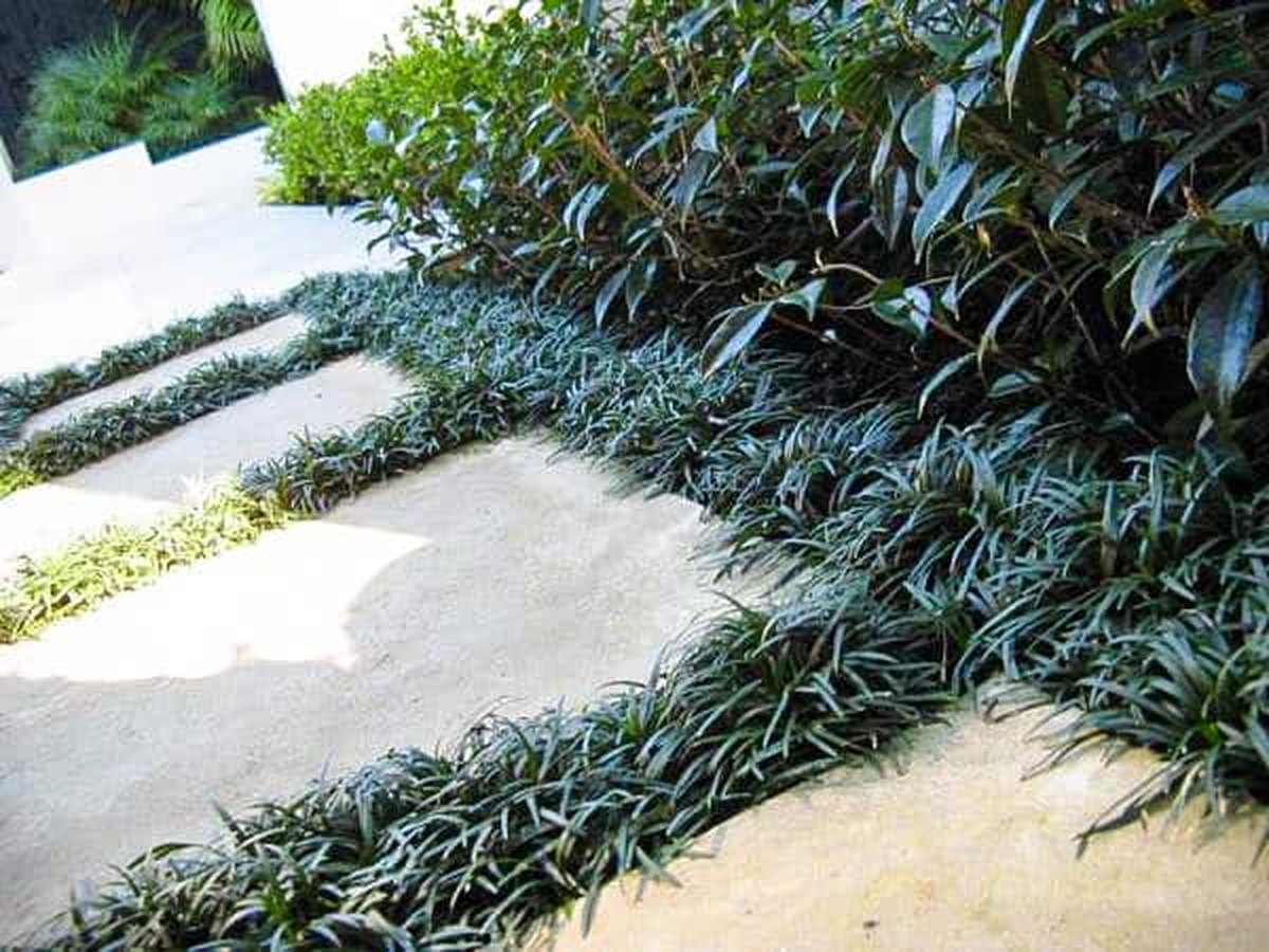 Garden Maintenance by Lanzpec, Auckland